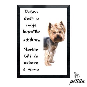 yorkie-na-slici